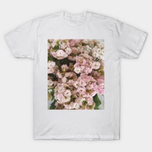 Pink Kalanchoe Plant T-Shirt